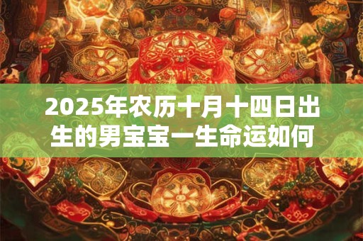 2025年农历十月十四日出生的男宝宝一生命运如何