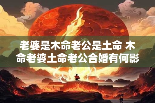 老婆是木命老公是土命 木命老婆土命老公合婚有何影响