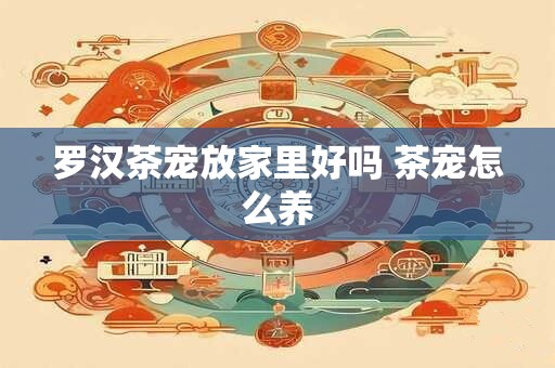 罗汉茶宠放家里好吗 茶宠怎么养