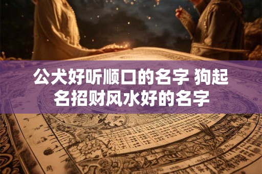 公犬好听顺口的名字 狗起名招财风水好的名字