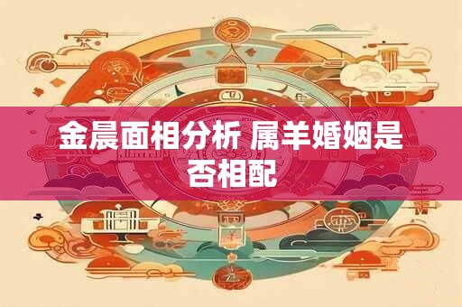 金晨面相分析 属羊婚姻是否相配
