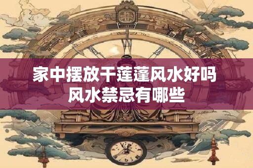 家中摆放干莲蓬风水好吗 风水禁忌有哪些