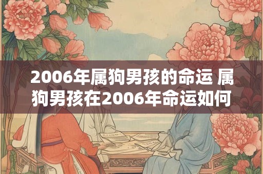 2006年属狗男孩的命运 属狗男孩在2006年命运如何
