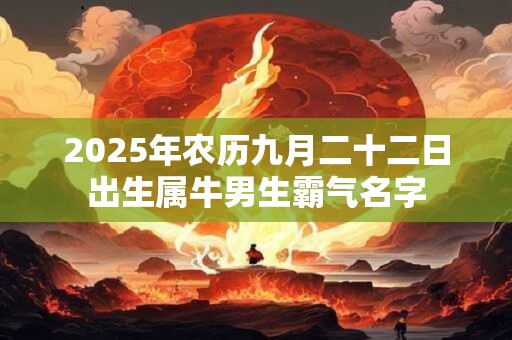 2026年农历九月二十二日出生属牛男生霸气名字