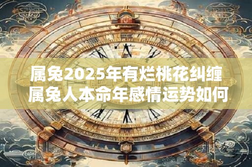 属兔2025年有烂桃花纠缠 属兔人本命年感情运势如何 属兔2025年有烂桃花纠缠 属兔人本命年感情运势如何