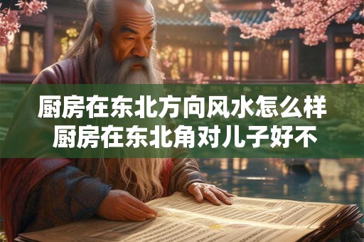 厨房在东北方向风水怎么样 厨房在东北角对儿子好不好