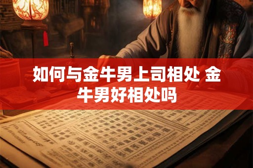 如何与金牛男上司相处 金牛男好相处吗
