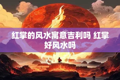 红掌的风水寓意吉利吗 红掌好风水吗