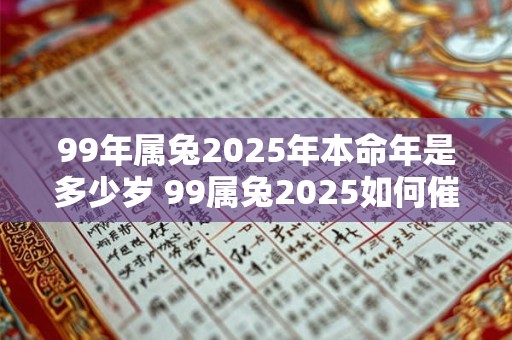 99年属兔2025年本命年是多少岁 99属兔2025如何催旺运势