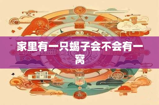 家里有一只蝎子会不会有一窝