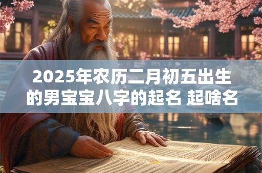 2025年农历二月初五出生的男宝宝八字的起名 起啥名字比较吉利