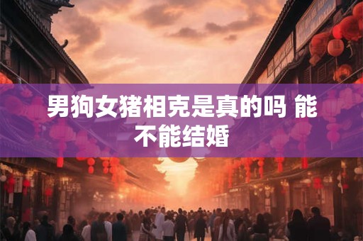 男狗女猪相克是真的吗 能不能结婚