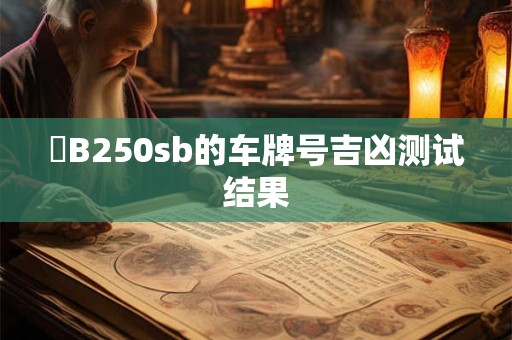瓊B250sb的车牌号吉凶测试结果