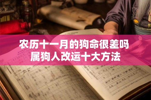 农历十一月的狗命很差吗 属狗人改运十大方法