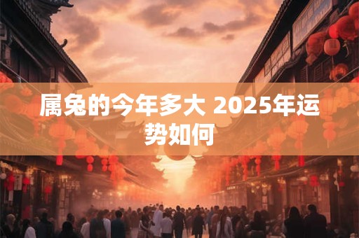 属兔的今年多大 2025年运势如何