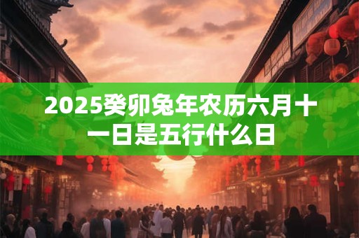 2025癸卯兔年农历六月十一日是五行什么日