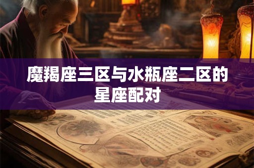 魔羯座三区与水瓶座二区的星座配对
