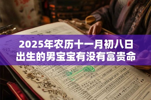 2025年农历十一月初八日出生的男宝宝有没有富贵命
