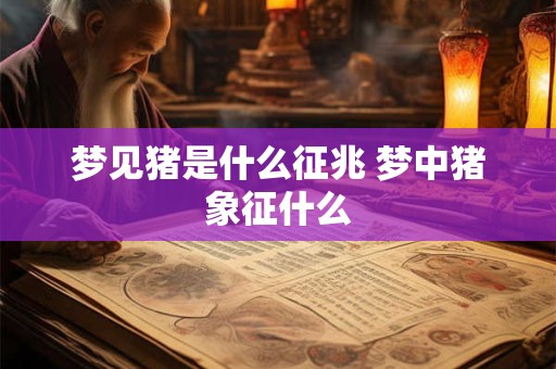 梦见猪是什么征兆 梦中猪象征什么