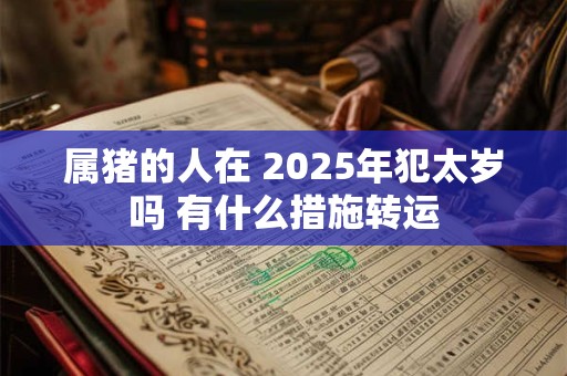 属猪的人在 2025年犯太岁吗 有什么措施转运