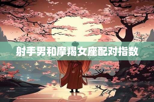 射手男和摩羯女座配对指数