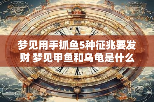 梦见用手抓鱼5种征兆要发财 梦见甲鱼和乌龟是什么征兆