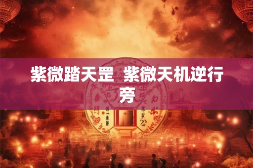 紫微踏天罡  紫微天机逆行旁