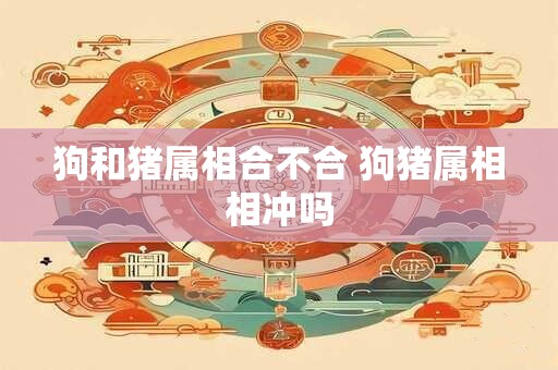 狗和猪属相合不合 狗猪属相相冲吗