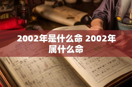 2002年是什么命 2002年属什么命