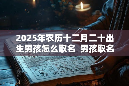 2025年农历十二月二十出生男孩怎么取名  男孩取名宝典
