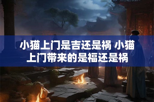 小猫上门是吉还是祸 小猫上门带来的是福还是祸