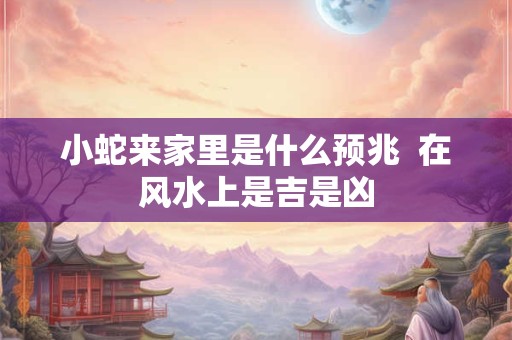 小蛇来家里是什么预兆  在风水上是吉是凶