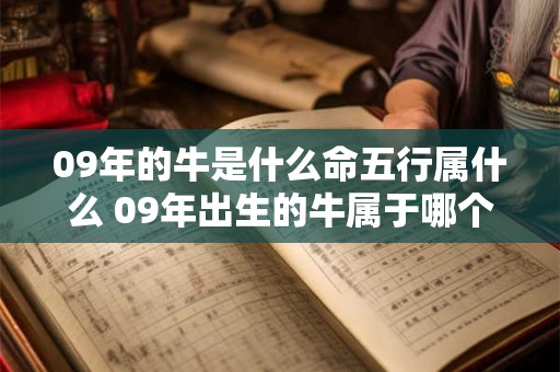 09年的牛是什么命五行属什么 09年出生的牛属于哪个五行命理学