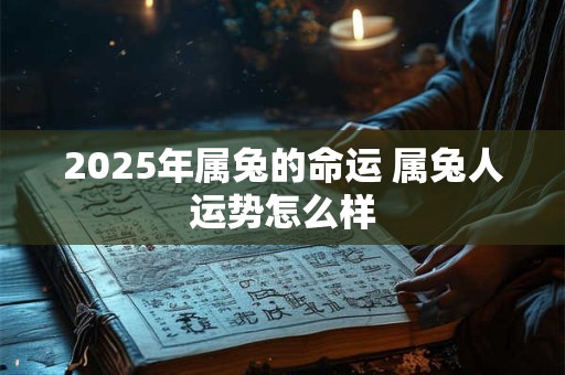 2025年属兔的命运 属兔人运势怎么样