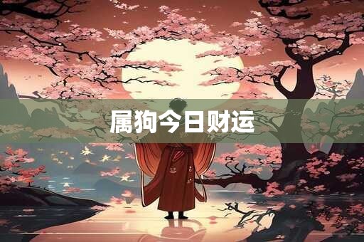属狗今日财运