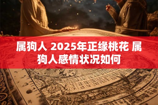 属狗人 2025年正缘桃花 属狗人感情状况如何
