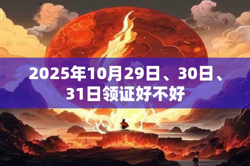 2025年10月29日、30日、31日领证好不好
