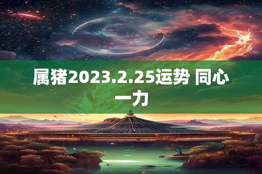 属猪2023.2.25运势 同心一力