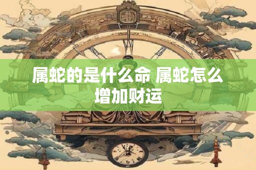 属蛇的是什么命 属蛇怎么增加财运