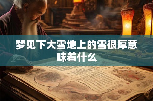 梦见下大雪地上的雪很厚意味着什么