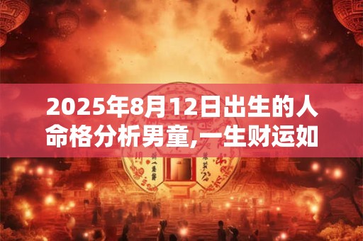2025年8月12日出生的人命格分析男童,一生财运如何