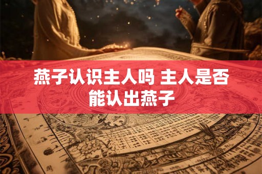 燕子认识主人吗 主人是否能认出燕子