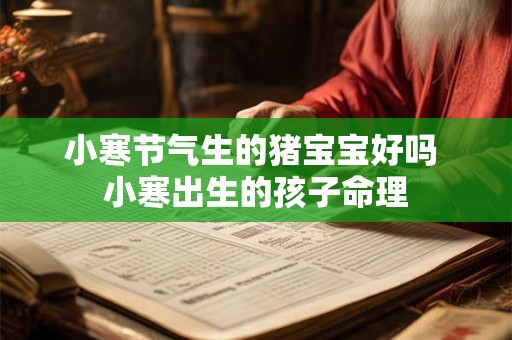 小寒节气生的猪宝宝好吗 小寒出生的孩子命理