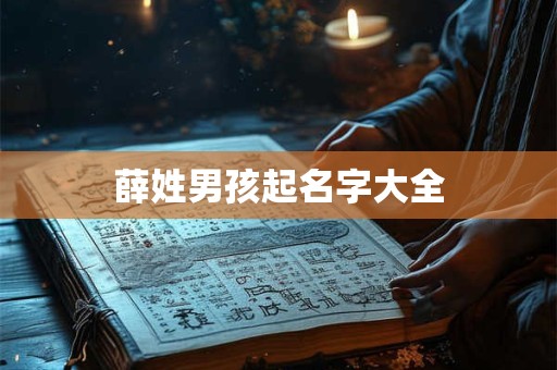 薛姓男孩起名字大全