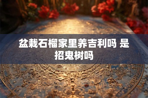 盆栽石榴家里养吉利吗 是招鬼树吗