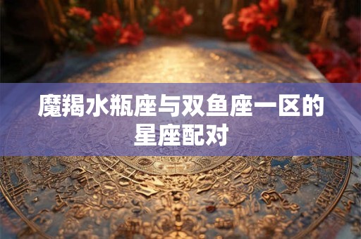 魔羯水瓶座与双鱼座一区的星座配对