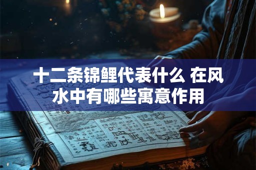 十二条锦鲤代表什么 在风水中有哪些寓意作用