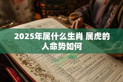 2025年属什么生肖 属虎的人命势如何