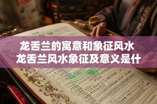 龙舌兰的寓意和象征风水 龙舌兰风水象征及意义是什么