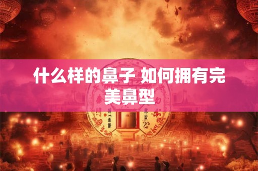 什么样的鼻子 如何拥有完美鼻型